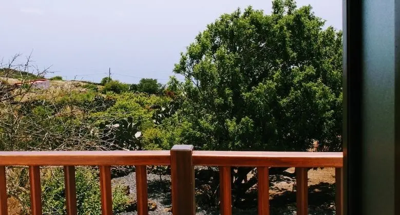 Ev, Birden Çok Yatak, Bahçe Manzaralı