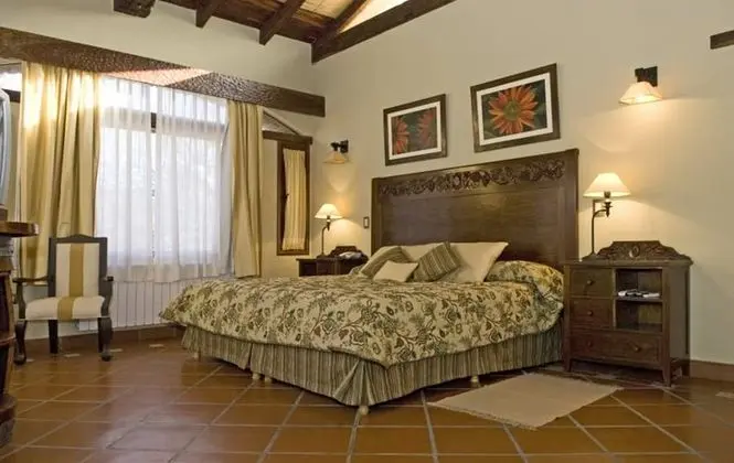 Standard Tek Büyük Yataklı Oda, 1 Çift Kişilik Yatak