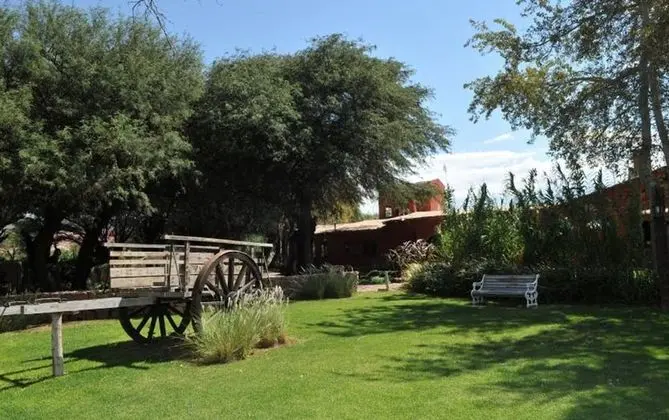 Standard Tek Büyük Yataklı Oda, 1 Çift Kişilik Yatak