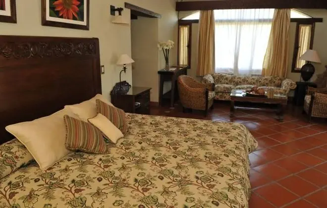 Superior Tek Büyük Yataklı Oda, 1 Çift Kişilik Yatak