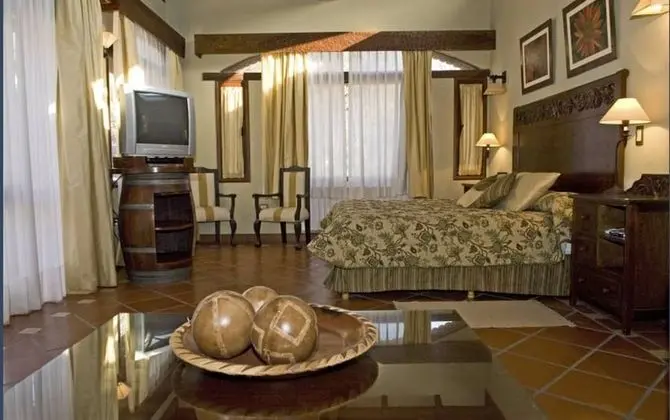 Superior Tek Büyük Yataklı Oda, 1 Çift Kişilik Yatak