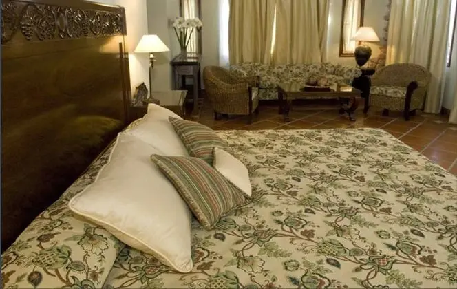 Superior Tek Büyük Yataklı Oda, 1 Çift Kişilik Yatak