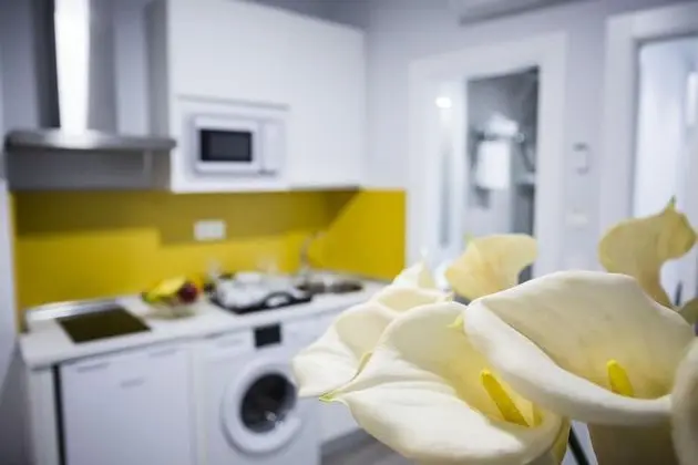 Deluxe Stüdyo, 1 Yatak Odası, Şehir Manzaralı (11)