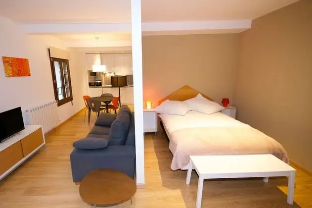 Apart Daire, 1 Yatak Odası