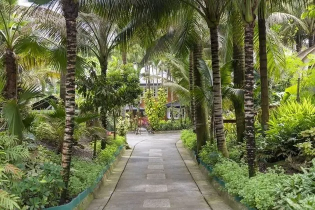 Ev, 2 Yatak Odası (El gallinero)