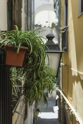 Classic Tek Büyük Yataklı Oda, 1 Yatak Odası, Balkon (Gabriel)