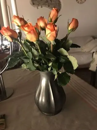 Family Apart Daire, 2 Yatak Odası