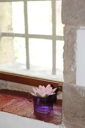 Standard Oda, 1 Büyük (Queen) Boy Yatak, Bahçe Manzaralı