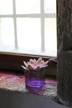 Standard Oda, 1 Büyük (Queen) Boy Yatak, Bahçe Manzaralı