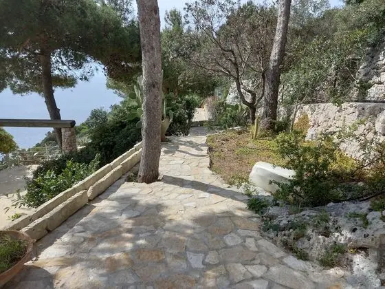 Comfort Tek Büyük Yataklı Oda, Kısmi Deniz Manzaralı