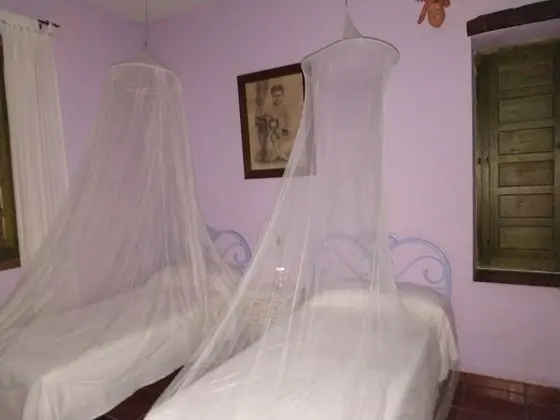 Tek Büyük Yataklı Oda (+ All night terror)