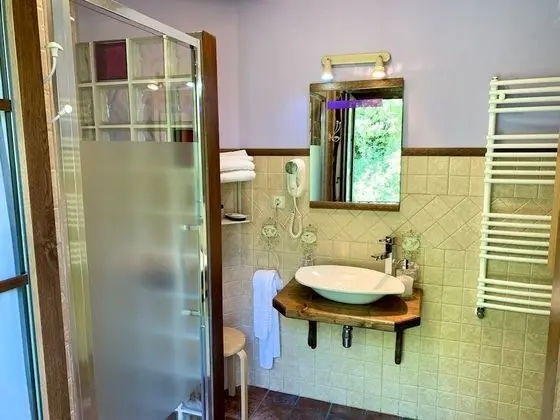 Standard Tek Büyük Yataklı Oda, Özel Banyo