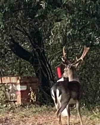 Apart Daire, 1 Yatak Odası, Balkon