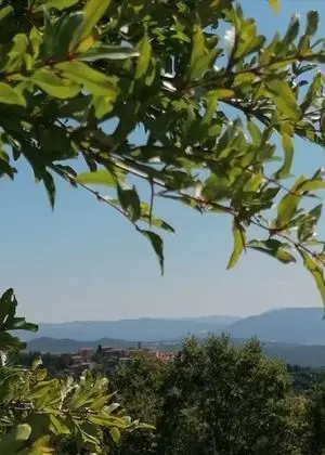 Apart Daire, 1 Yatak Odası, Balkon