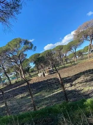 Apart Daire, 1 Yatak Odası, Balkon