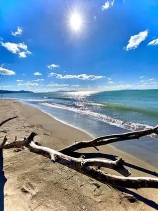 Apart Daire, 1 Yatak Odası, Balkon