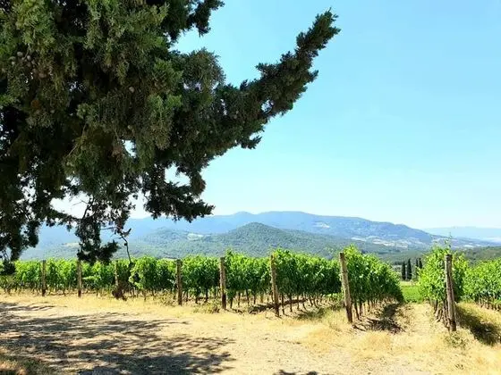 Apart Daire, 1 Yatak Odası, Balkon