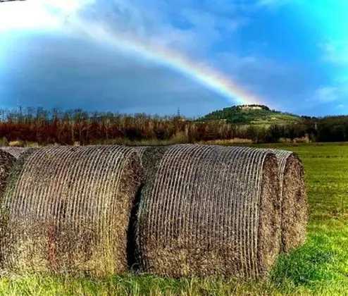 Apart Daire, 1 Yatak Odası, Balkon