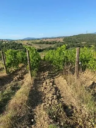 Apart Daire, 1 Yatak Odası, Balkon