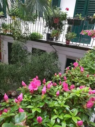 Dört Kişilik Oda