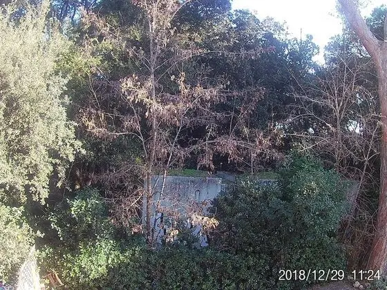 Family Üç Kişilik Oda, Balkon