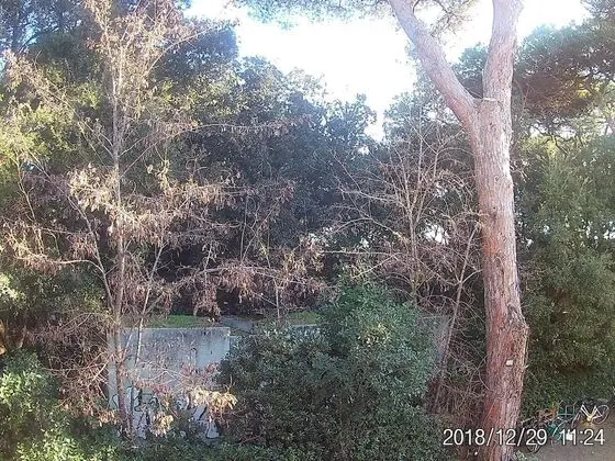 Family Üç Kişilik Oda, Balkon