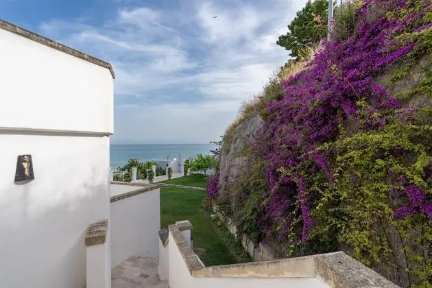 Standard Tek Büyük Yataklı Oda (beach access)