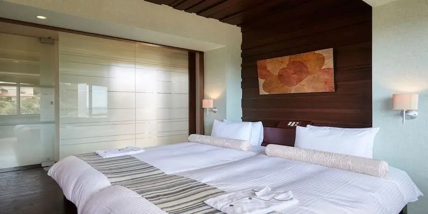 Deluxe İki Ayrı Yataklı Oda, Sigara İçilmez (Panacea)
