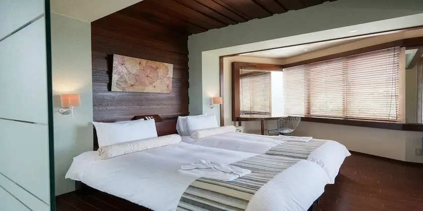Deluxe İki Ayrı Yataklı Oda, Sigara İçilmez (Panacea)