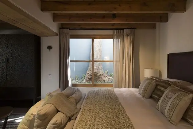 Suite 3