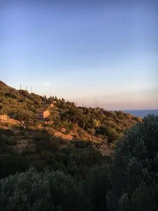 Economy Tek Büyük Yataklı Oda (Dependance)