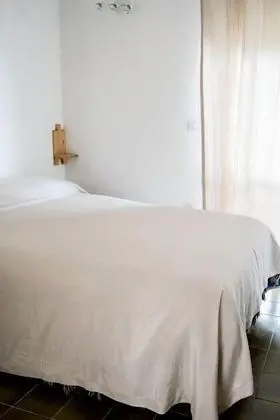 Economy Tek Büyük Yataklı Oda (Dependance)