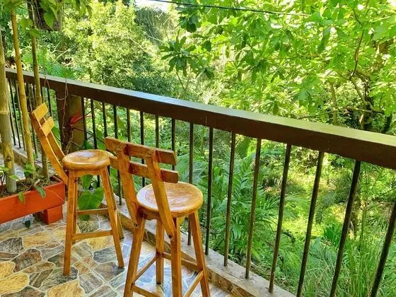 Luxury Tek Büyük Yataklı Oda, 1 En Büyük (King) Boy Yatak, Balkon