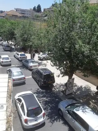 Traditional Stüdyo (Targ)