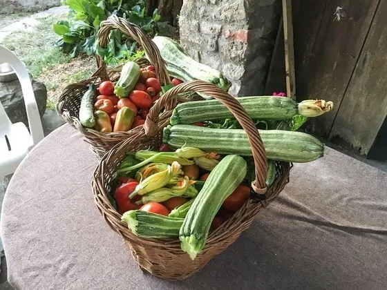 Dağ Evi, 1 Yatak Odası, Sigara İçilebilir, Şömine