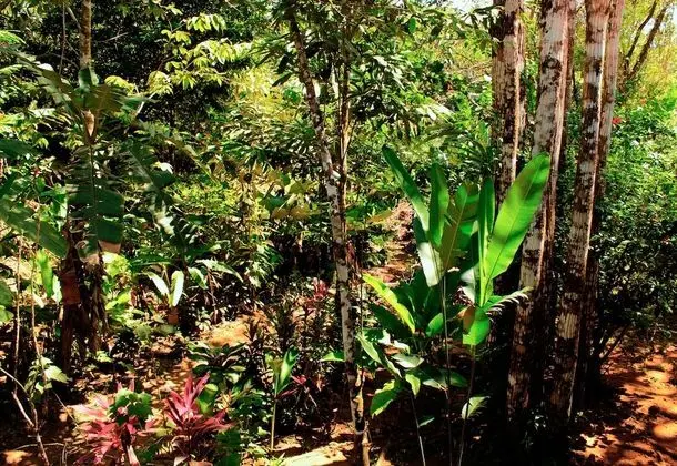 Ortak Ranzalı Oda, 2 Yatak Odası, Balkon