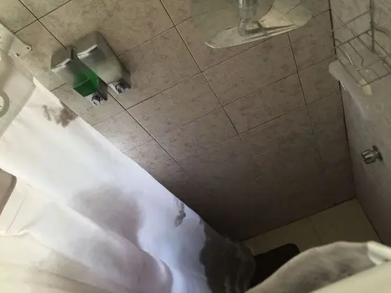 Ev, Birden Çok Yatak