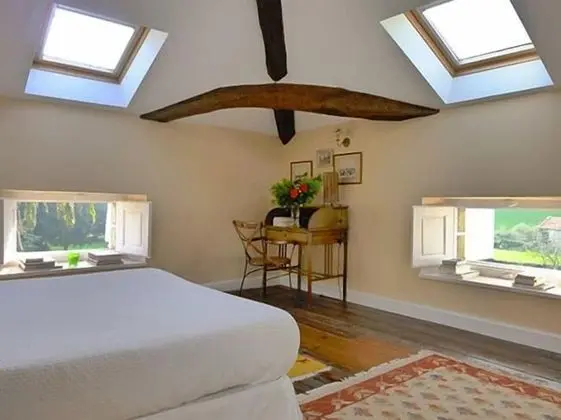 Superior Tek Büyük Yataklı Oda