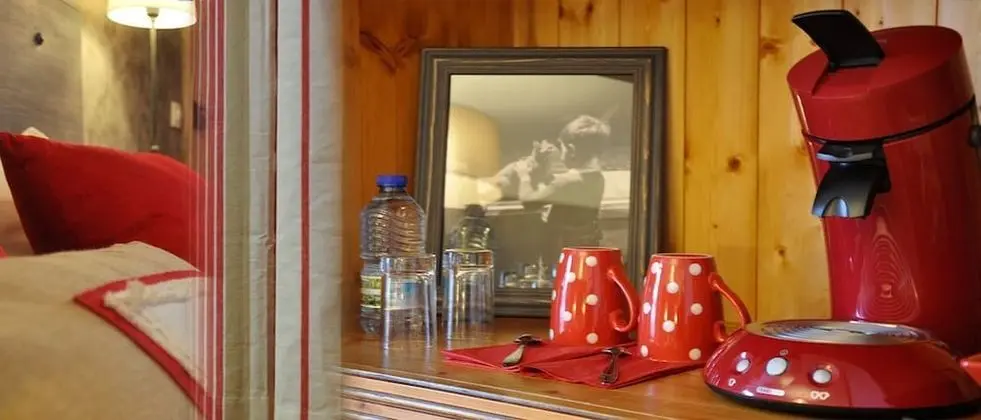 Tek Büyük Yataklı Oda (Romanèche)