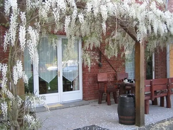 Tek Büyük Yataklı Oda (Glycines)