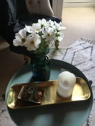 Süit