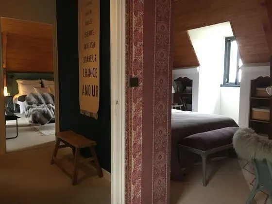 Süit