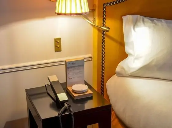 Deluxe Tek Büyük Yataklı Oda, 1 Büyük (Queen) Boy Yatak ve Çekyat