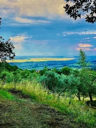 Deluxe Tek Büyük Yataklı Oda, 1 Büyük (Queen) Boy Yatak, Teras, Dağ Manzaralı