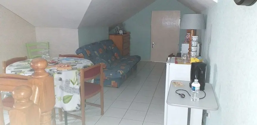 Family Oda (Orchidée)