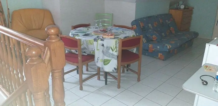 Family Oda (Orchidée)