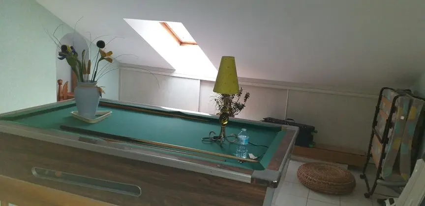 Family Oda (Orchidée)