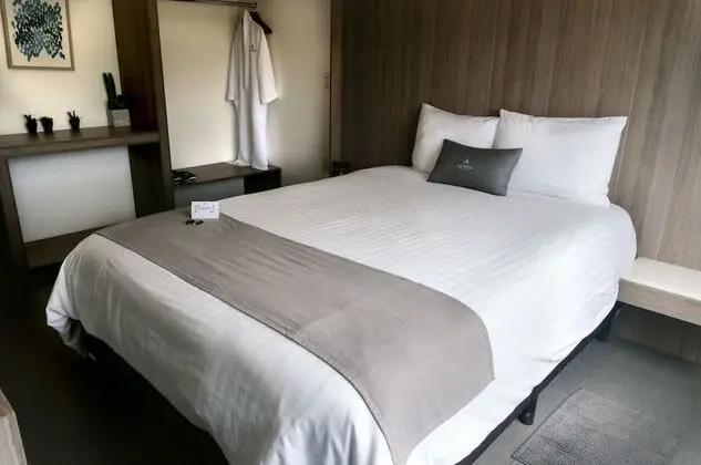 Premium Süit, 3 Yatak Odası, Üzüm Asması Manzaralı
