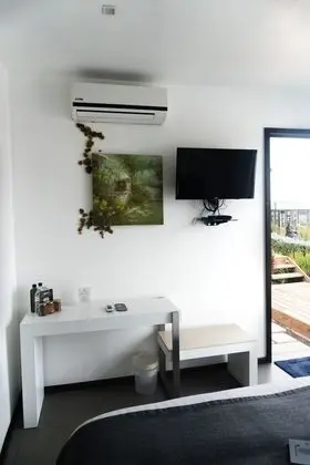 Standard Tek Kişilik Oda, 1 En Büyük (King) Boy Yatak