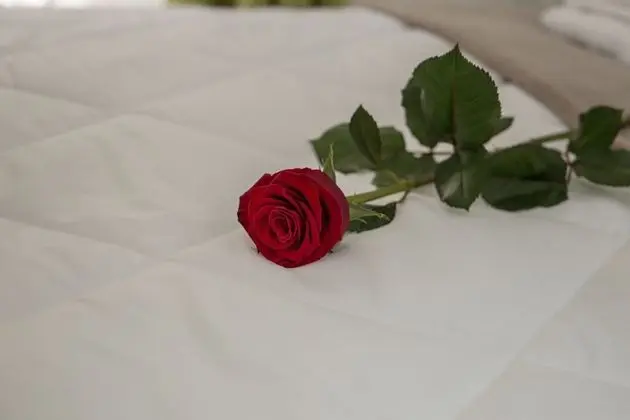 Tek Büyük Yataklı Oda, Balkon